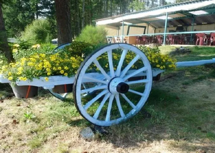 Campsite Mobil-home 4 Pers Avec & Salon De Jardin - Api-1-52-1354